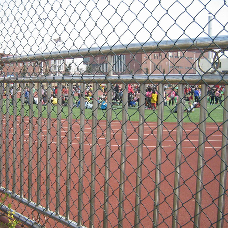 upfiles/images/chain-link-fence/3.jpg