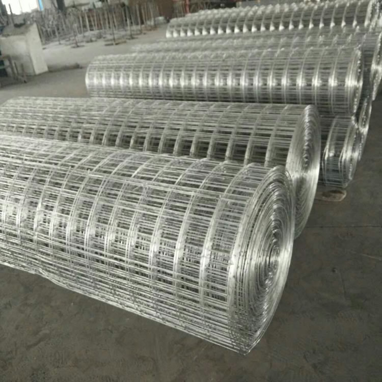 upfiles/images/galvanized-welded-mesh/5.jpg