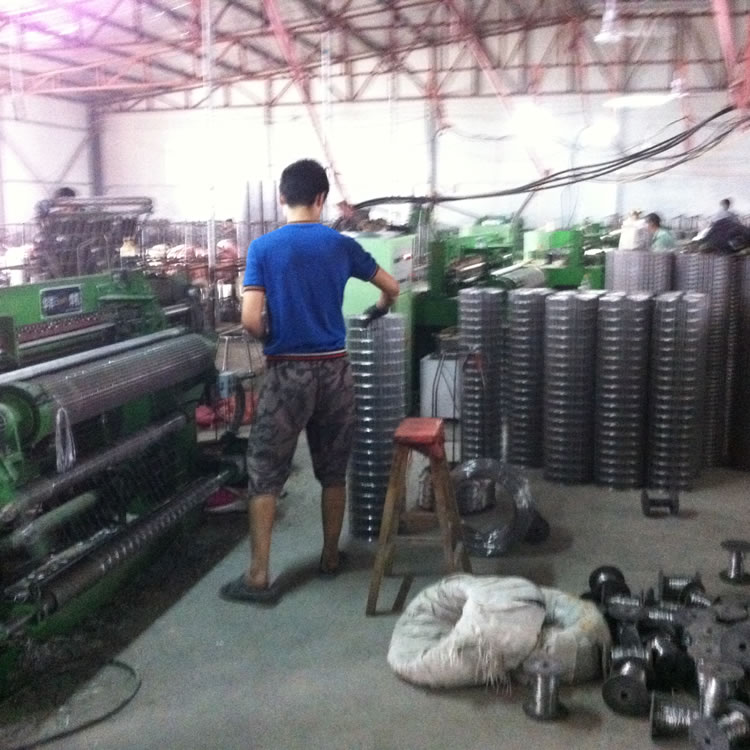 upfiles/images/stainless-steel-welded-mesh/5.jpg